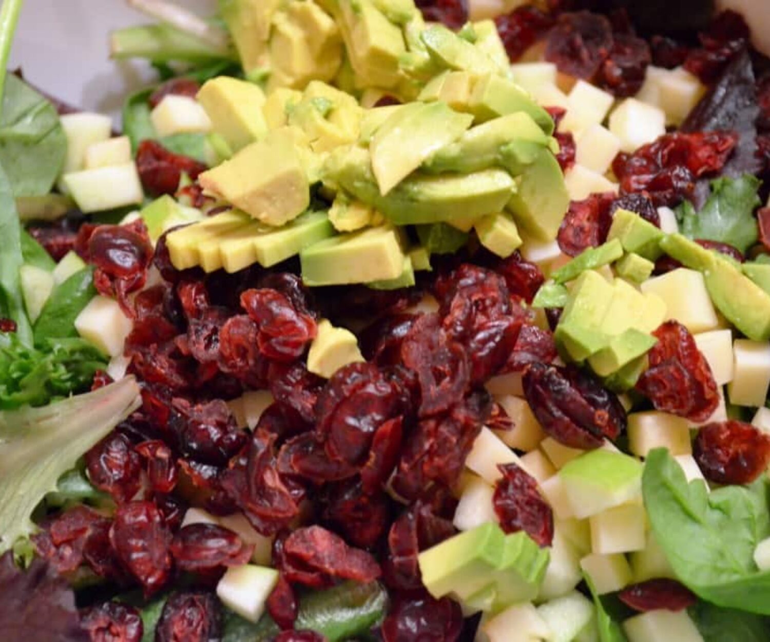 endive, My Chef Orlando