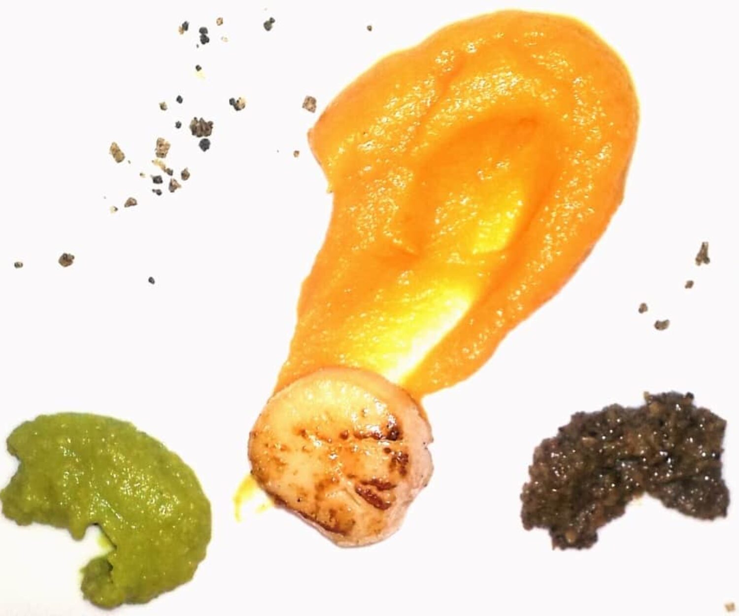 scallop, My Chef Orlando Personal Chef